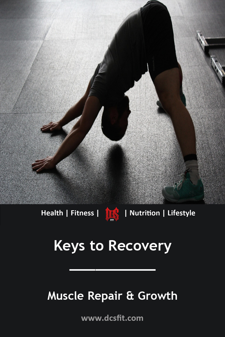 Keys to Recovery - Optimising for muscle repair and growth