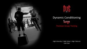 Dynamic Conditioning Surge Premium Group Training High Intensity High Value High Returns Low Cost
